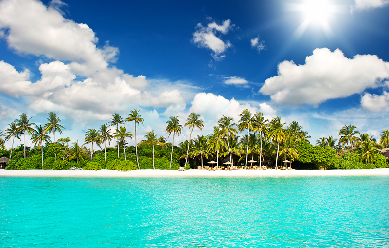 BON VOYAGES PREFERENCE VOYAGES