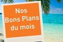Nos bons plans du mois