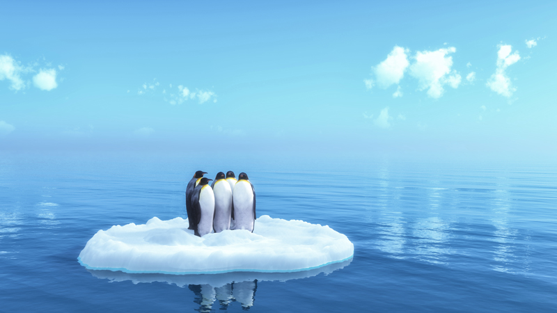 Découvrez l'Antarctique
