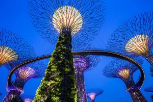 a-singapour-gardens-by-the-bay-arbres-artificiels-3-go