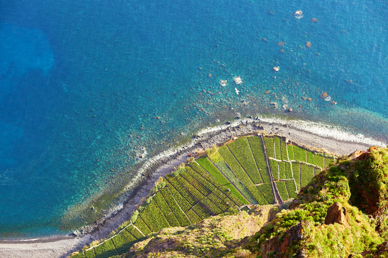 Voyage à Madère au Portugal