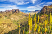 PROMOS sur les Îles Canaries